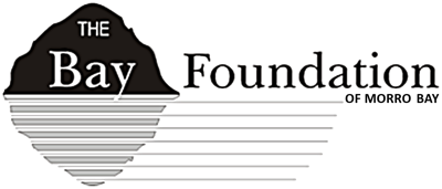 The Bay Foundation Logo